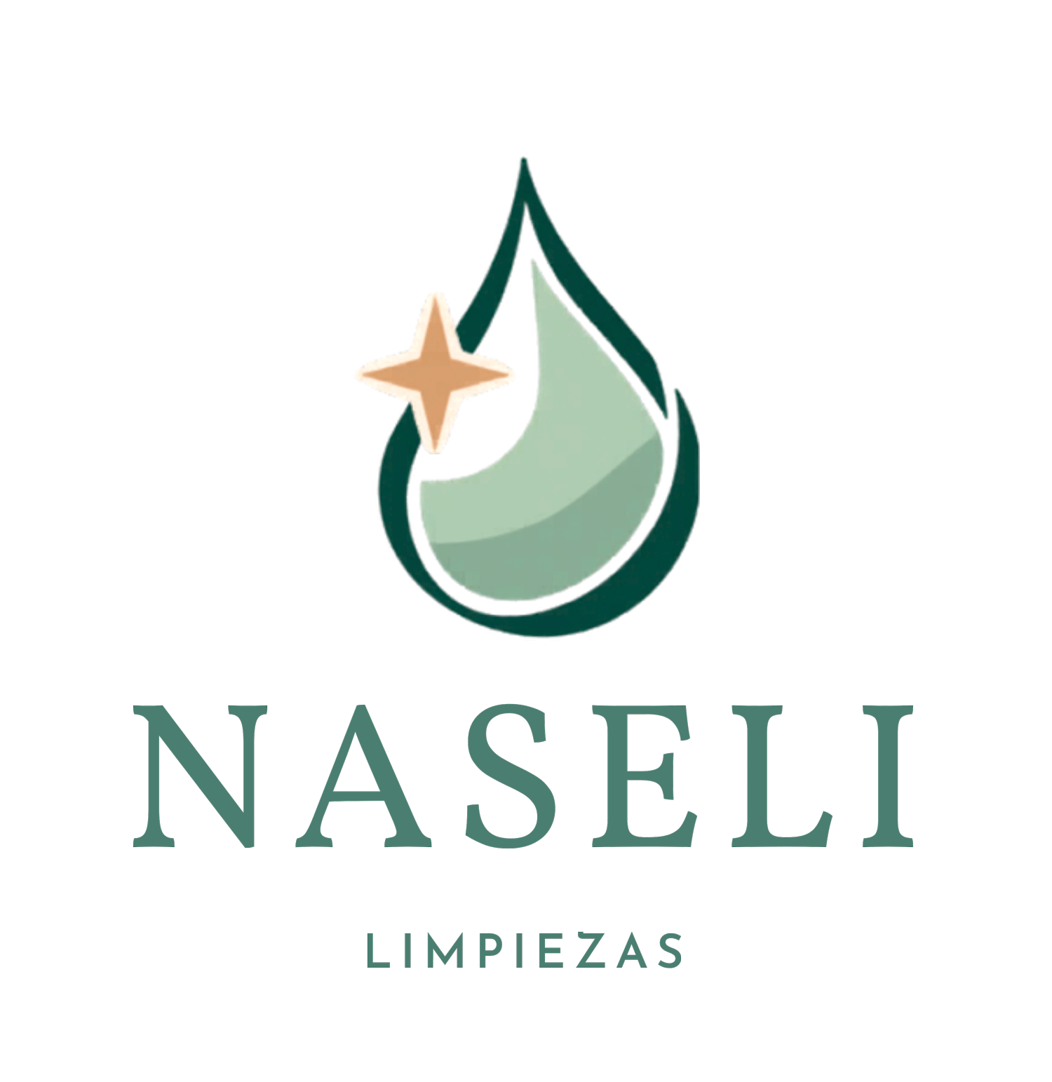 limpiezas naseli en pamplona